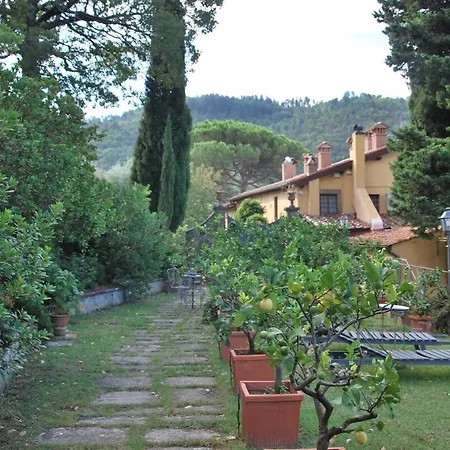 Il Palazzaccio - Tuscan Historical In Reggello